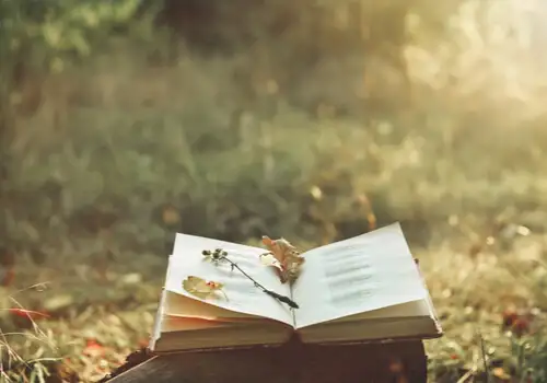 libro-poesia-campo