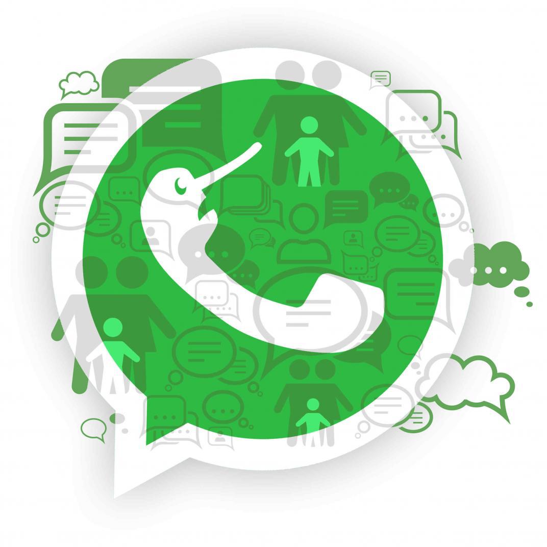 WhatsApp incorpora nueva opción para descubrir fake news-posdata -digital-press